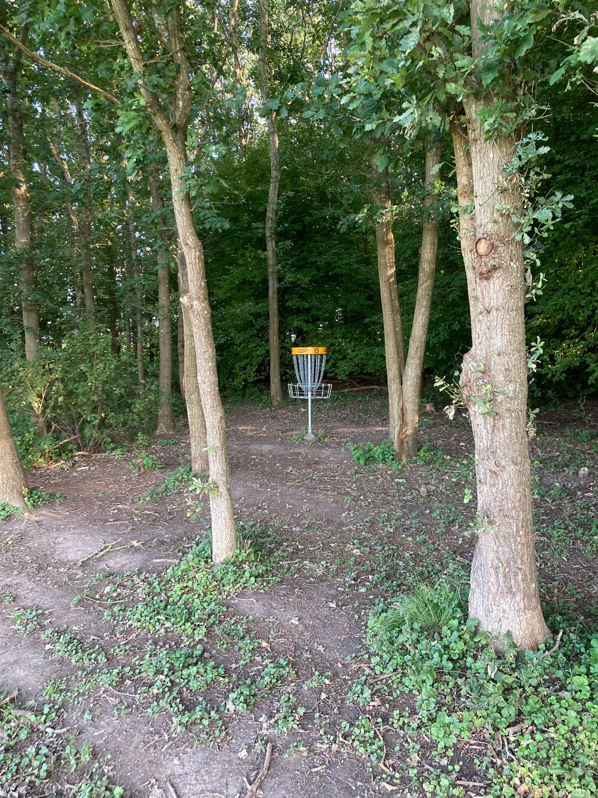 Hole 15