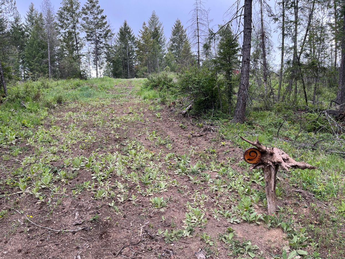 Hole 9