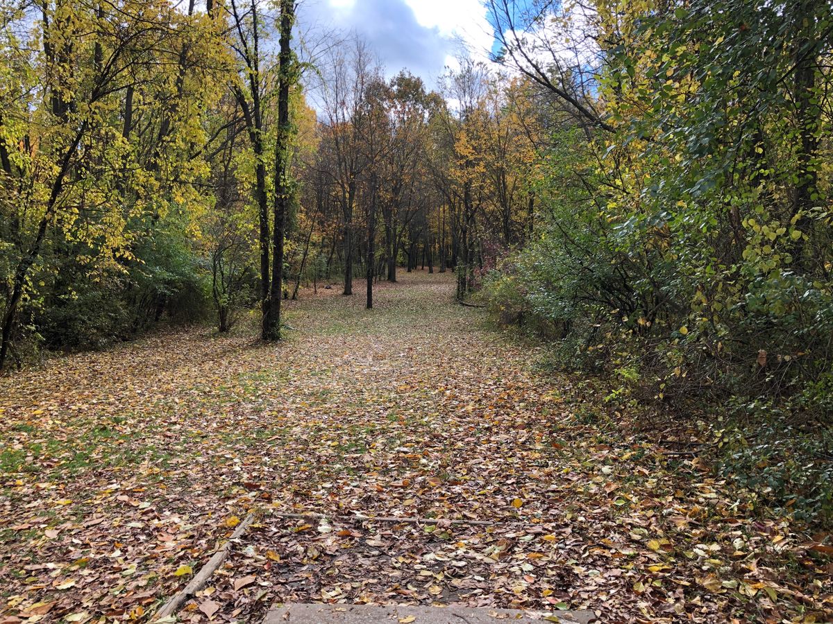 Hole 9 short teepad