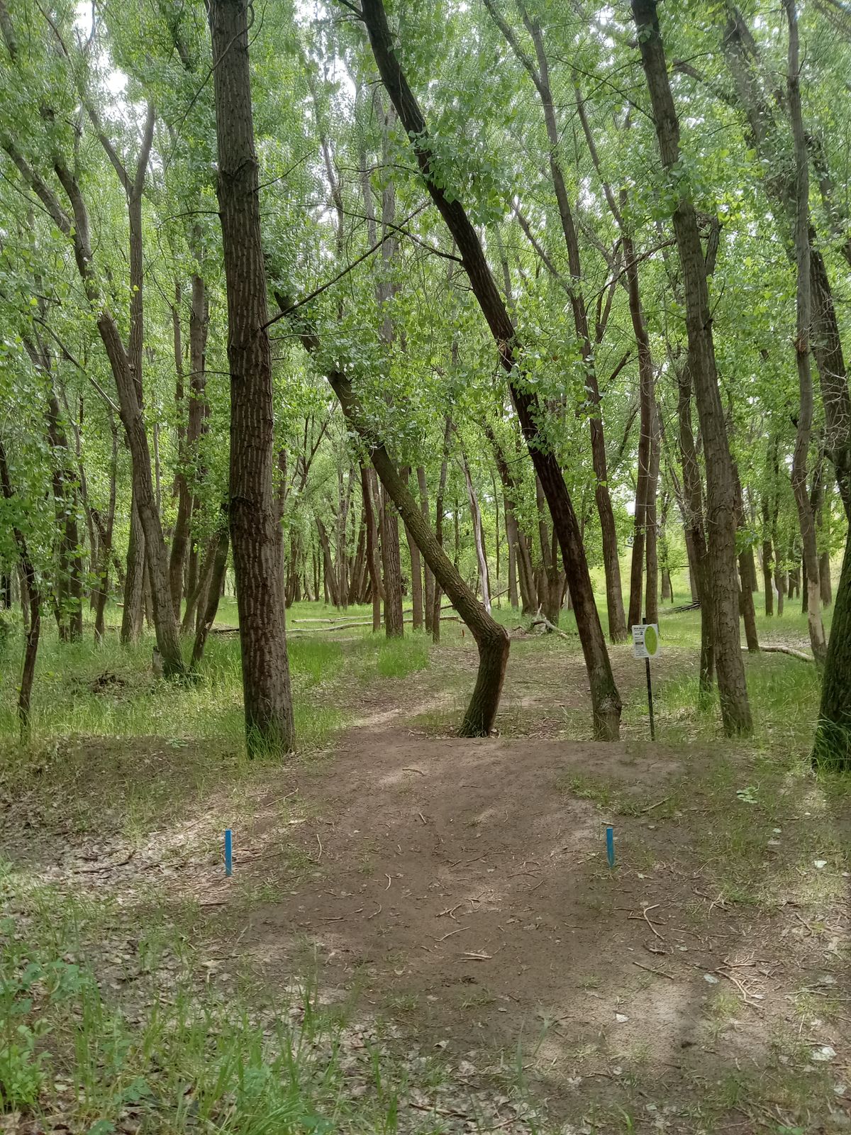 Tee of hole 2