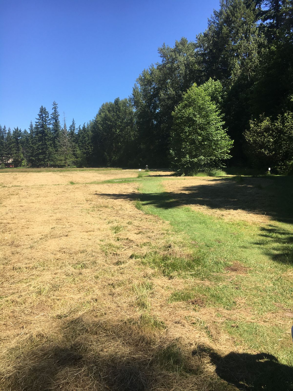 Recently mowed! 6/21