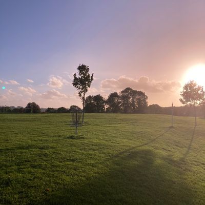 Hole 9 Basket