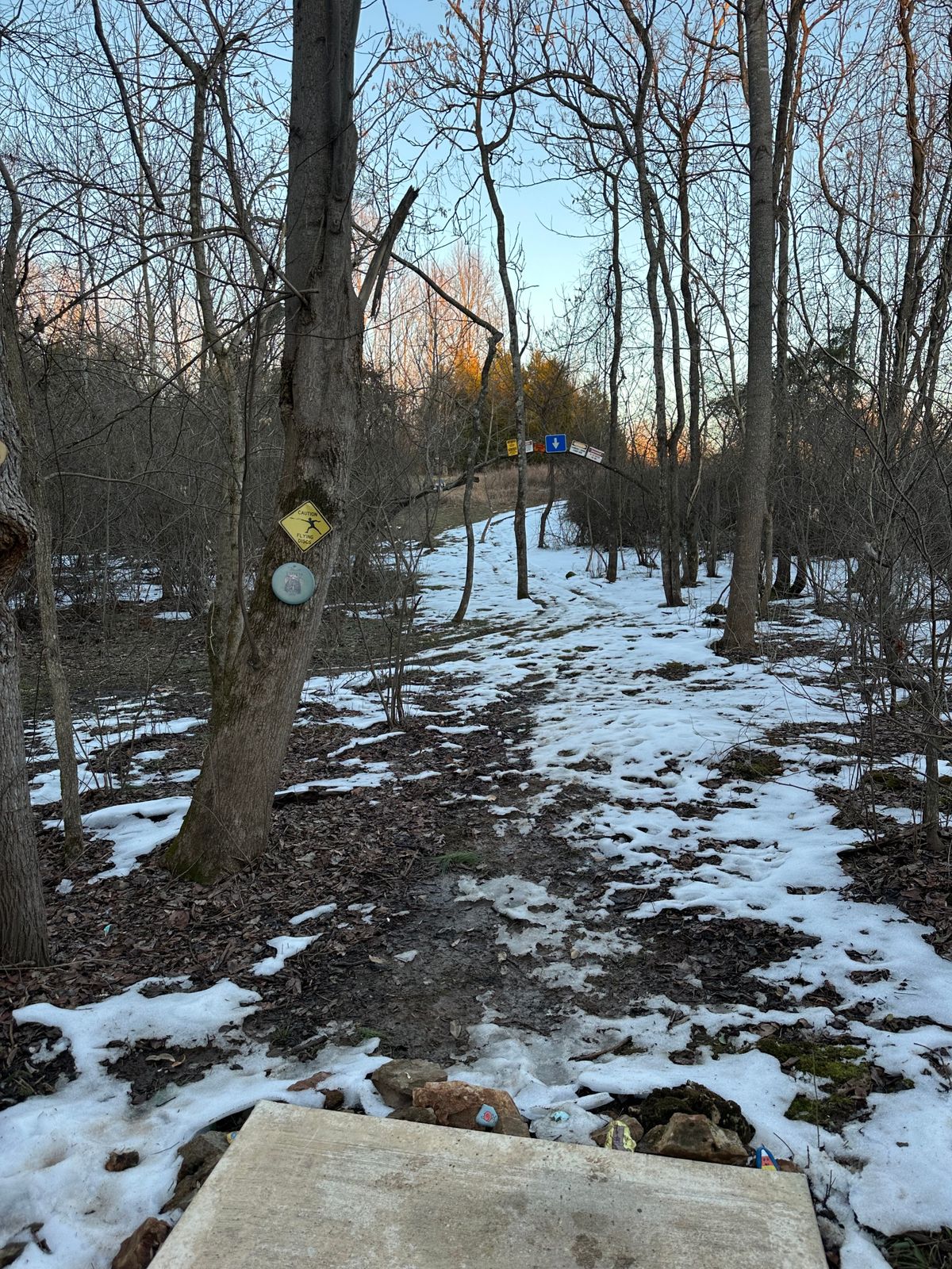 Hole 13 tee pad, mando under tree hoop. There is a drop zone rock to putt behind if missed.