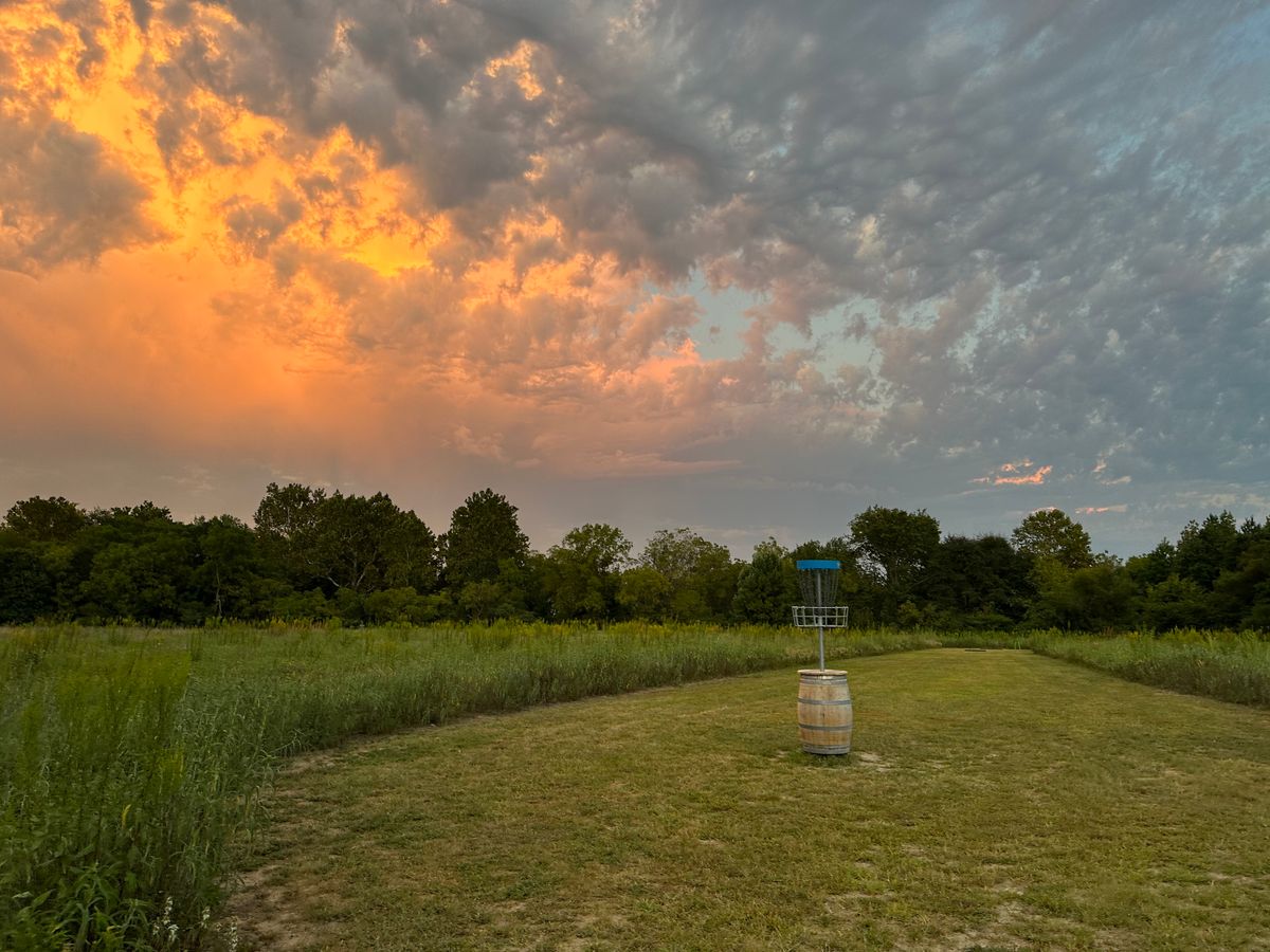 Looking back towards the tee pad on hole 16.