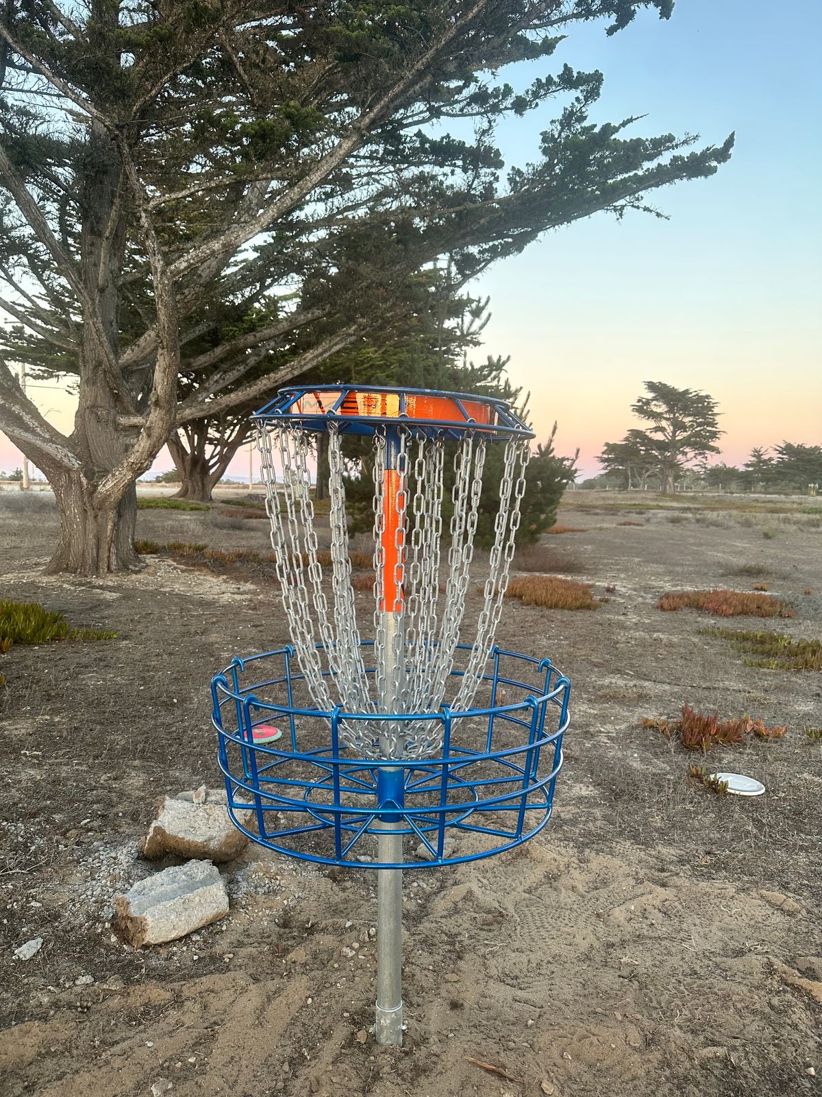 Hole 16's new basket.