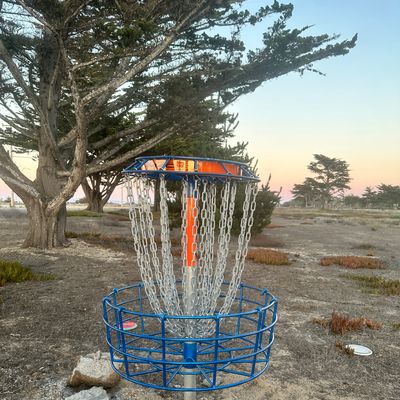 Hole 16's new basket.
