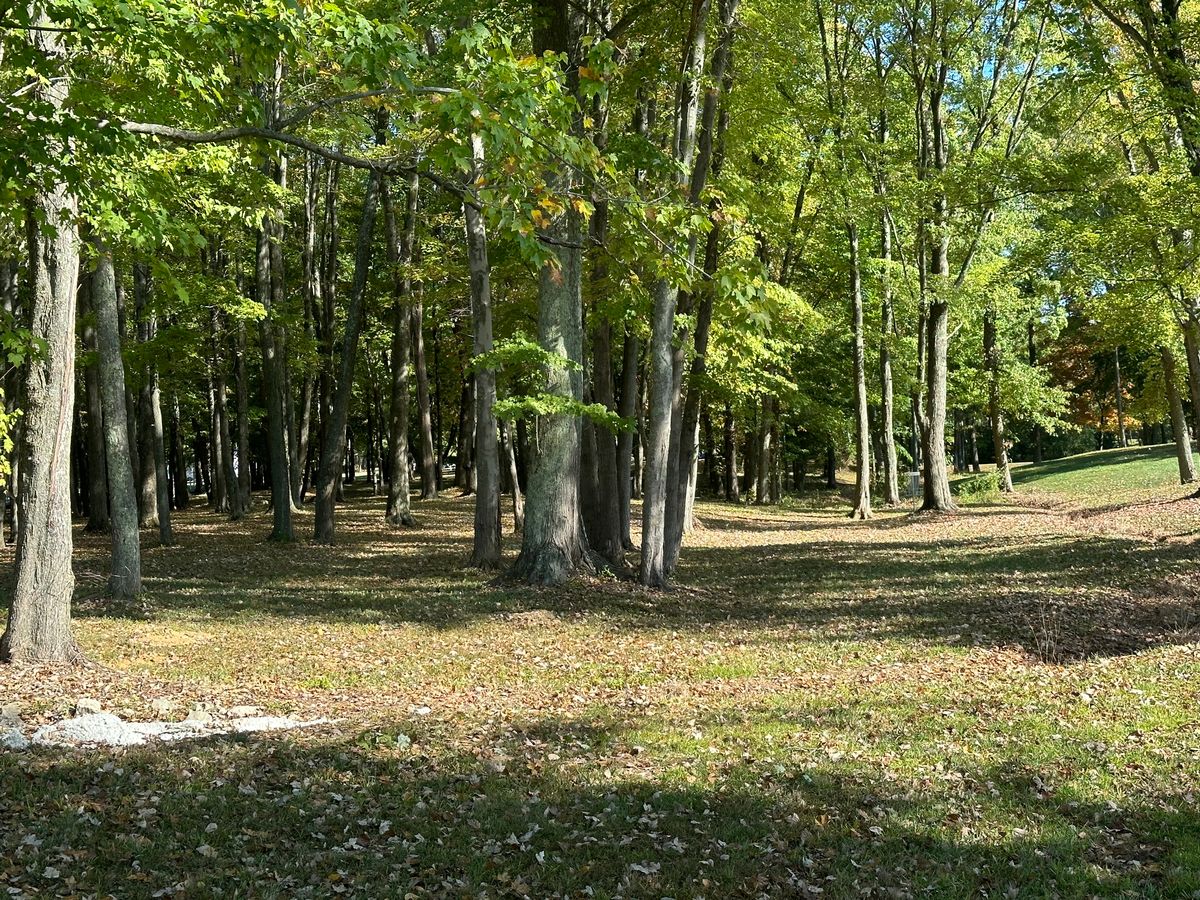 Hole 2