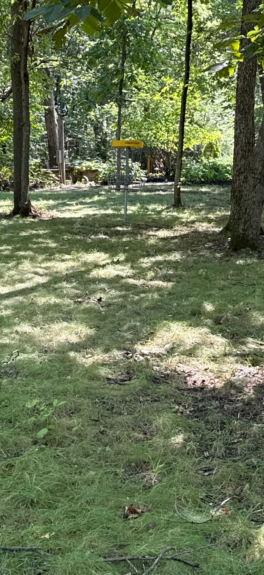 Hole 18
T shot and basket