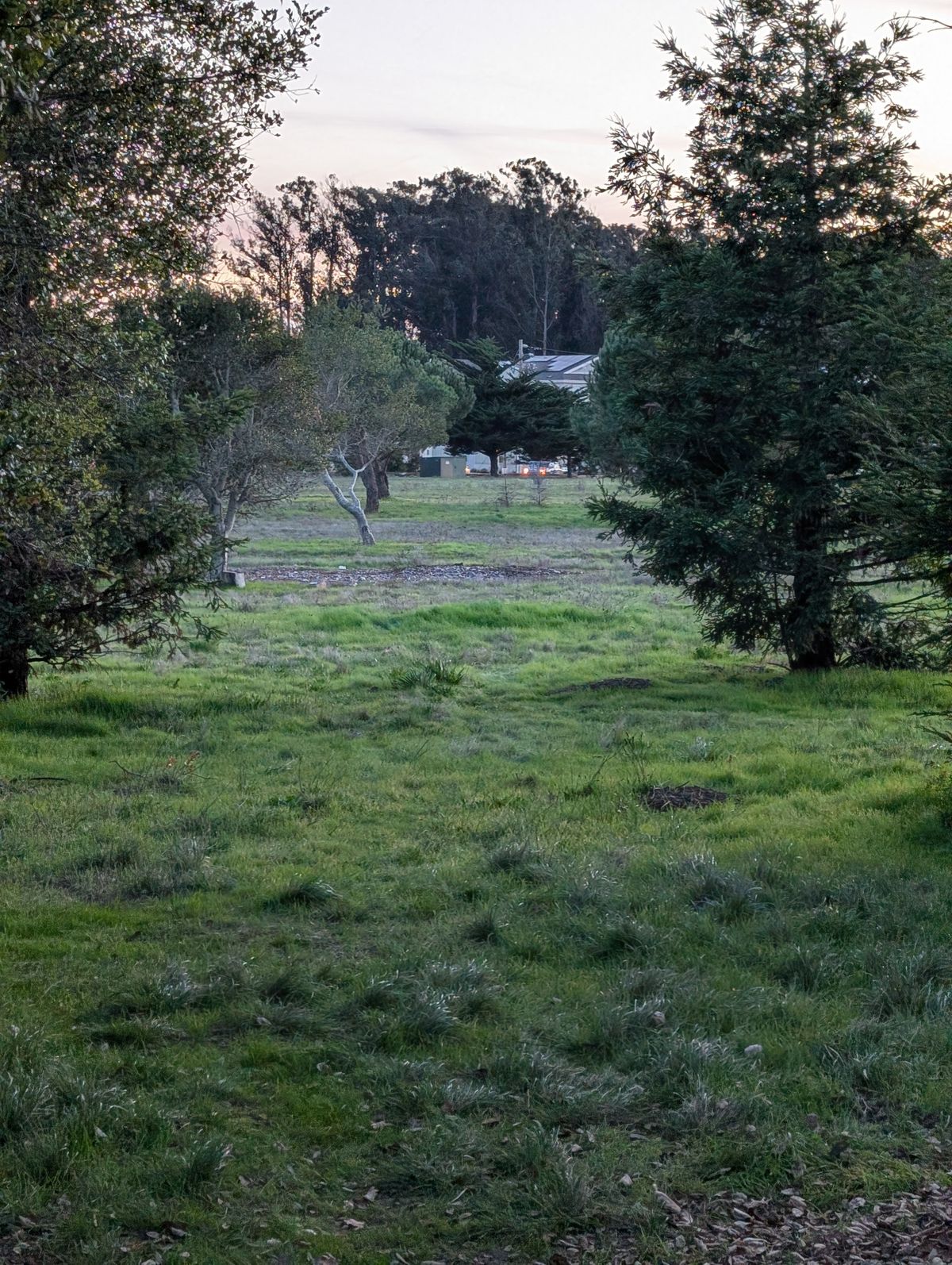 New 3C hole  Fairway