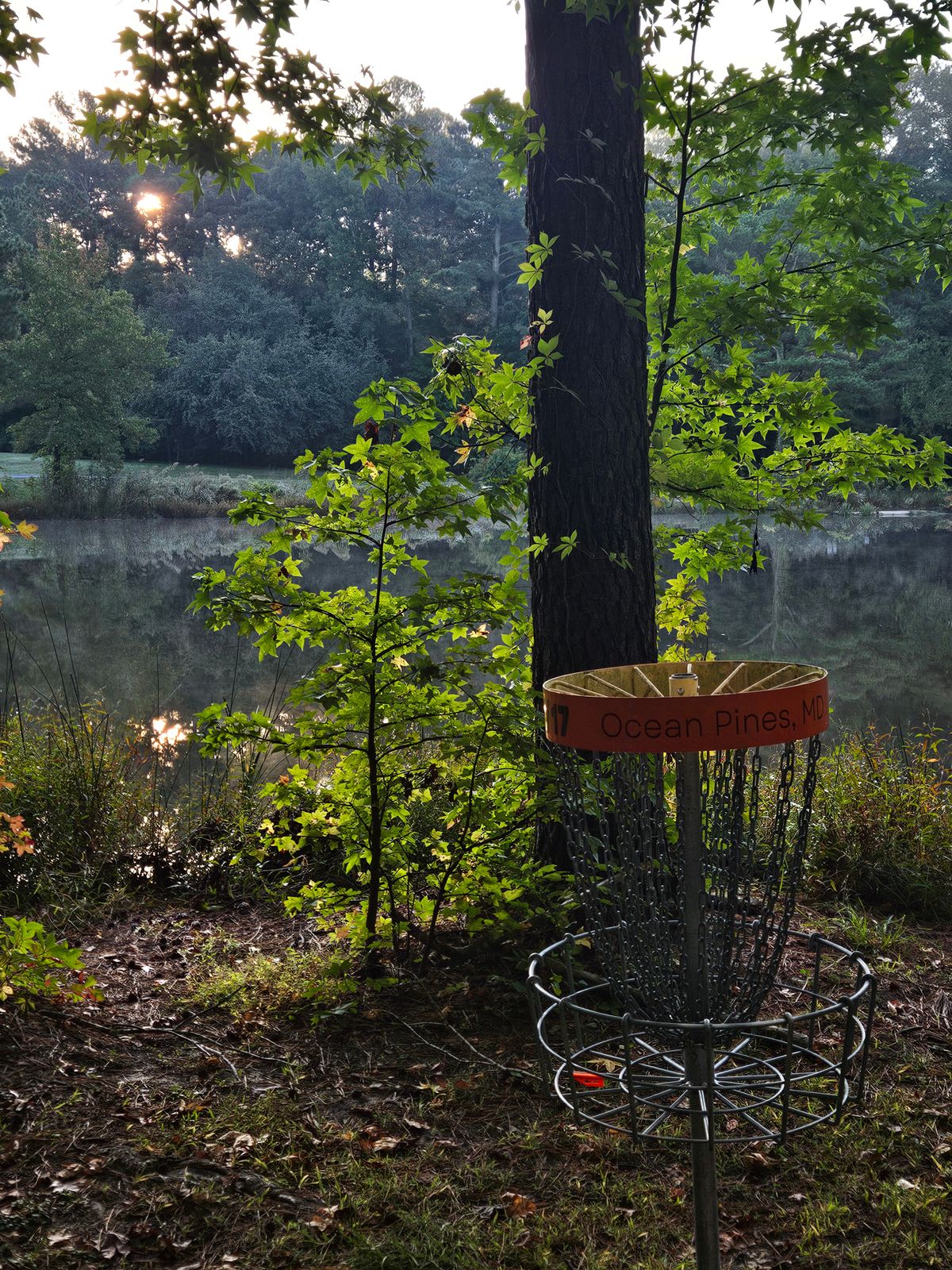 Shared basket of hole 11 and 17 with the pond in the background