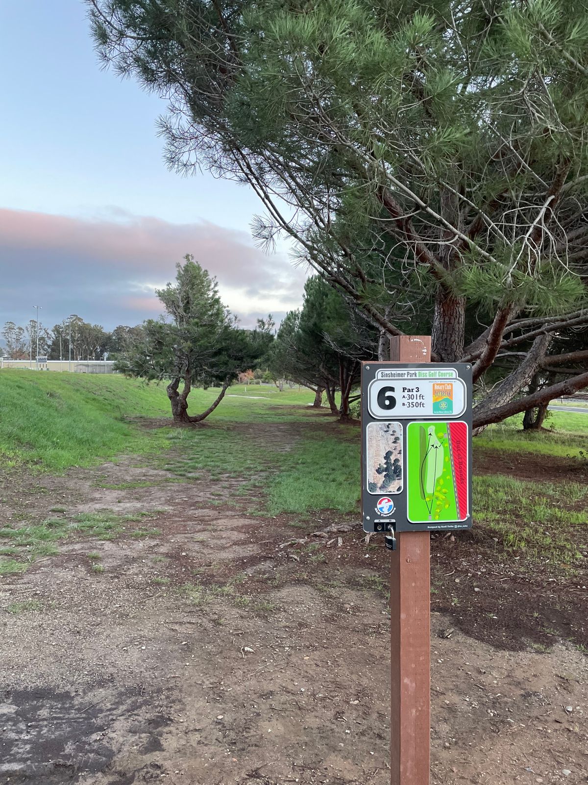 Hole 6 between the trees.