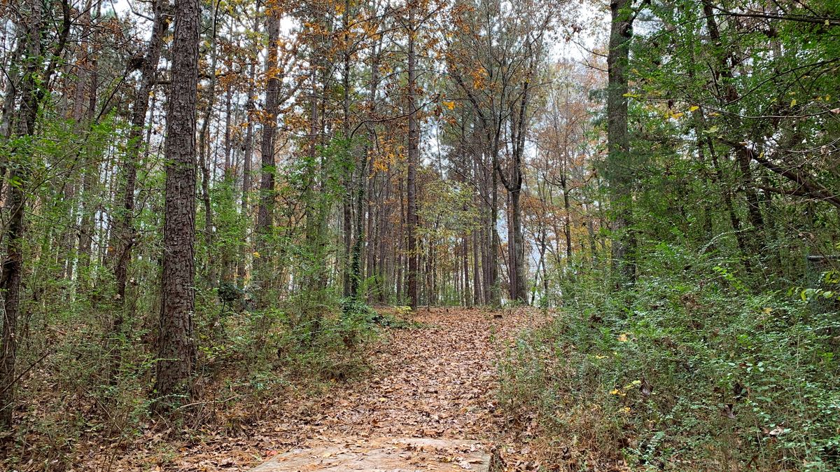 Hole 5