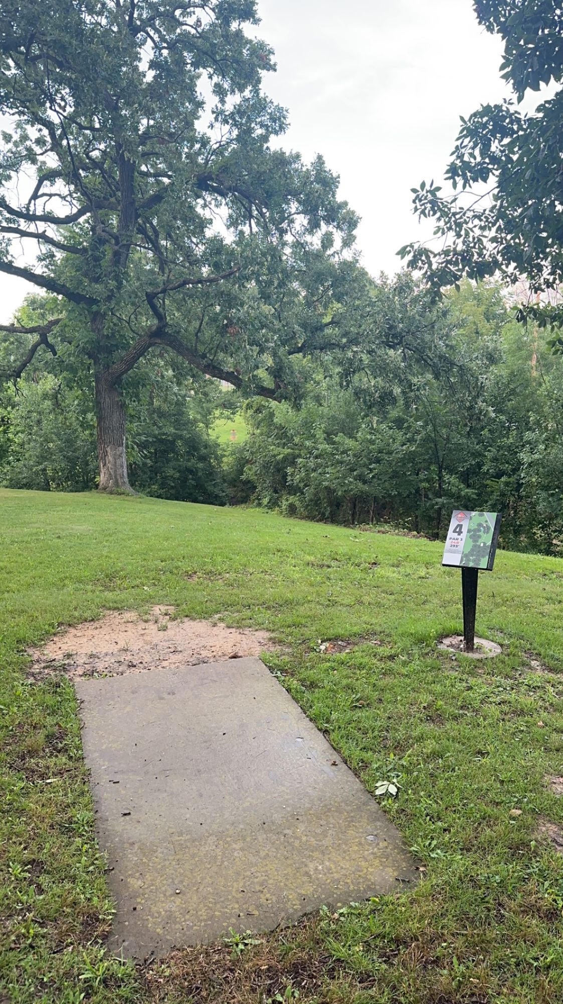 Hole 4 Short