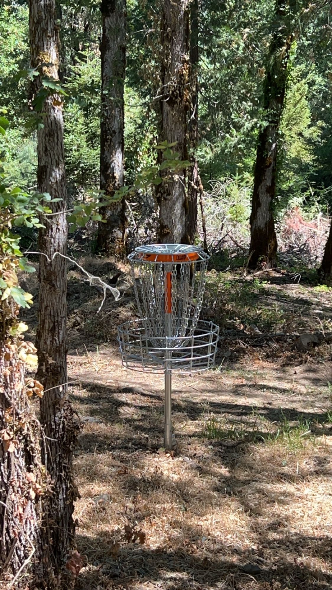 Hole 7