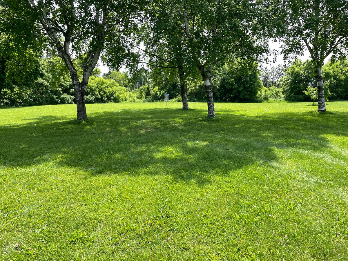 Hole 2 basket