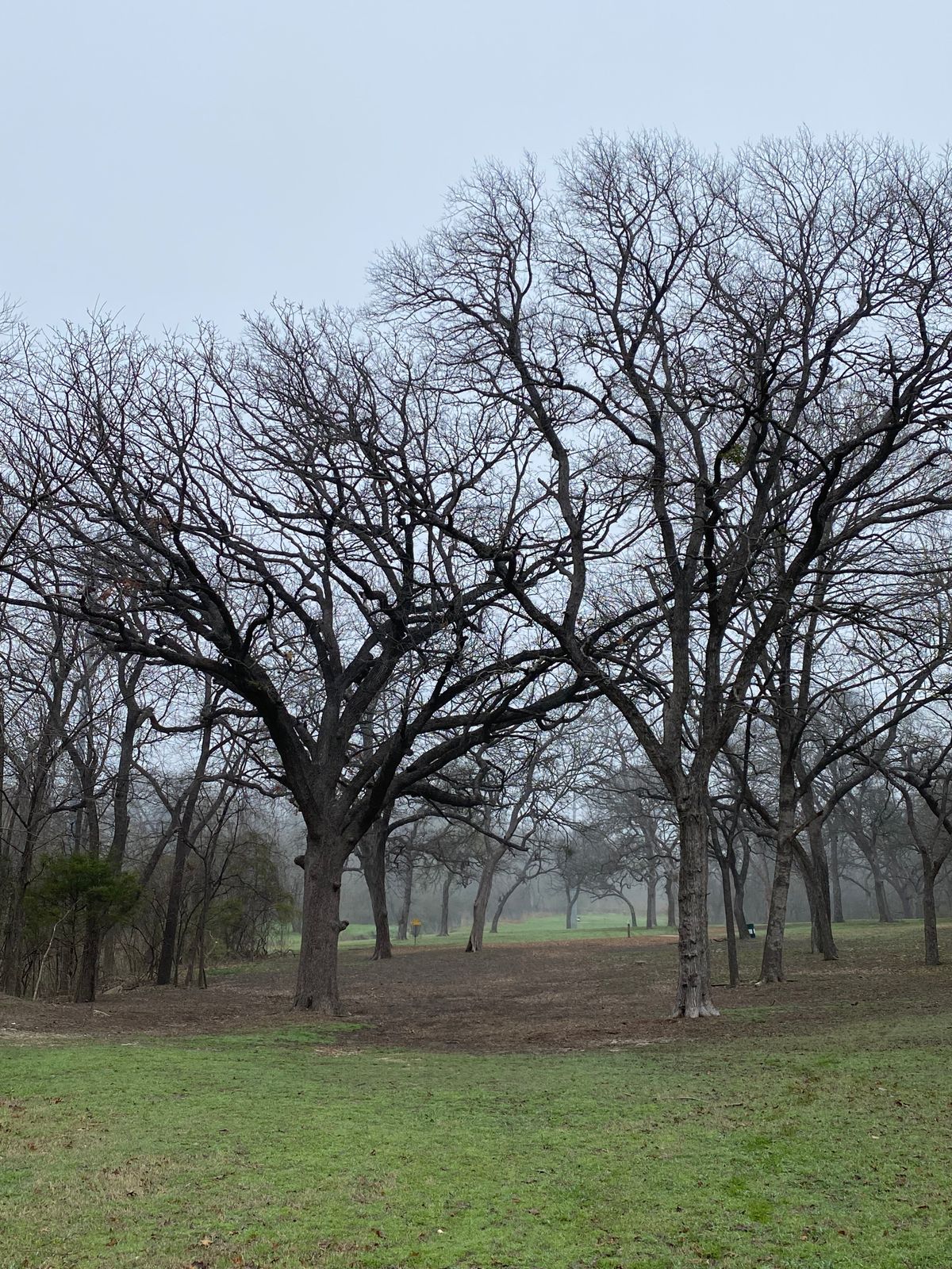Hole 2’s basket in the distance