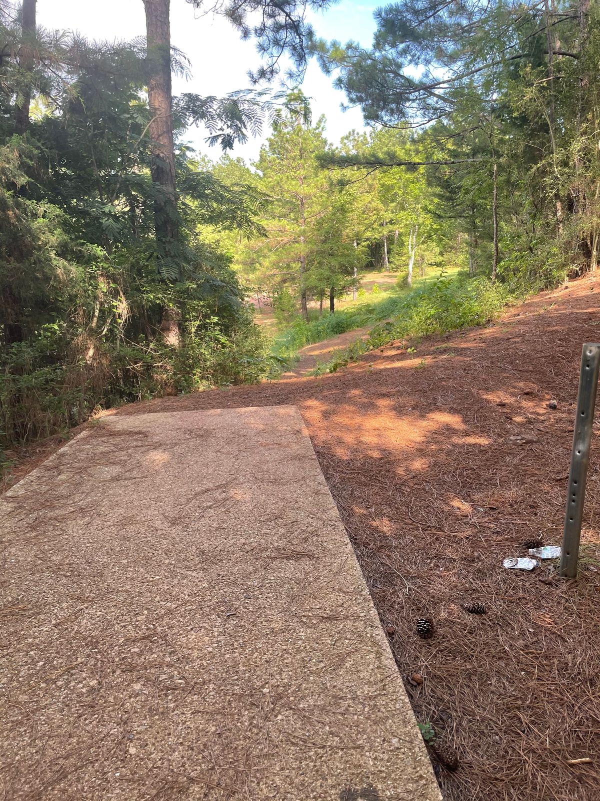 Hole 6.   Straight and past the trees in the middle