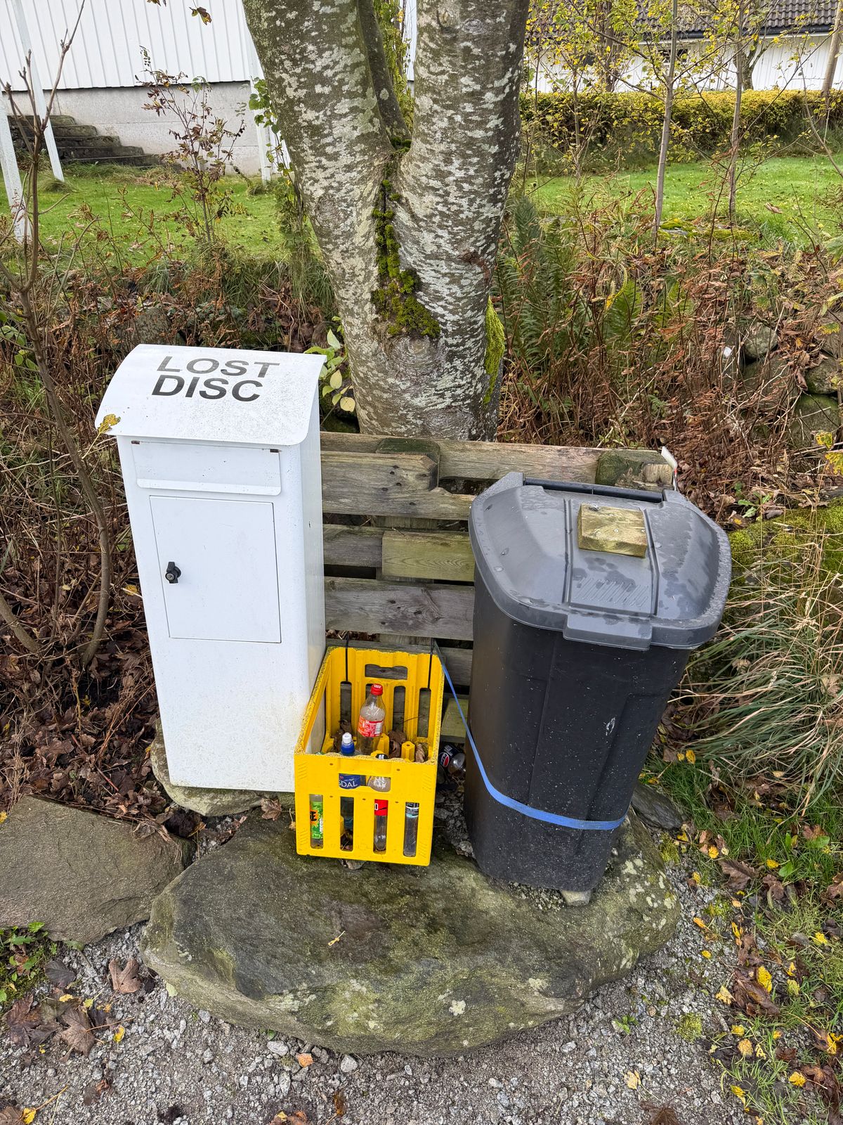 Lost disc