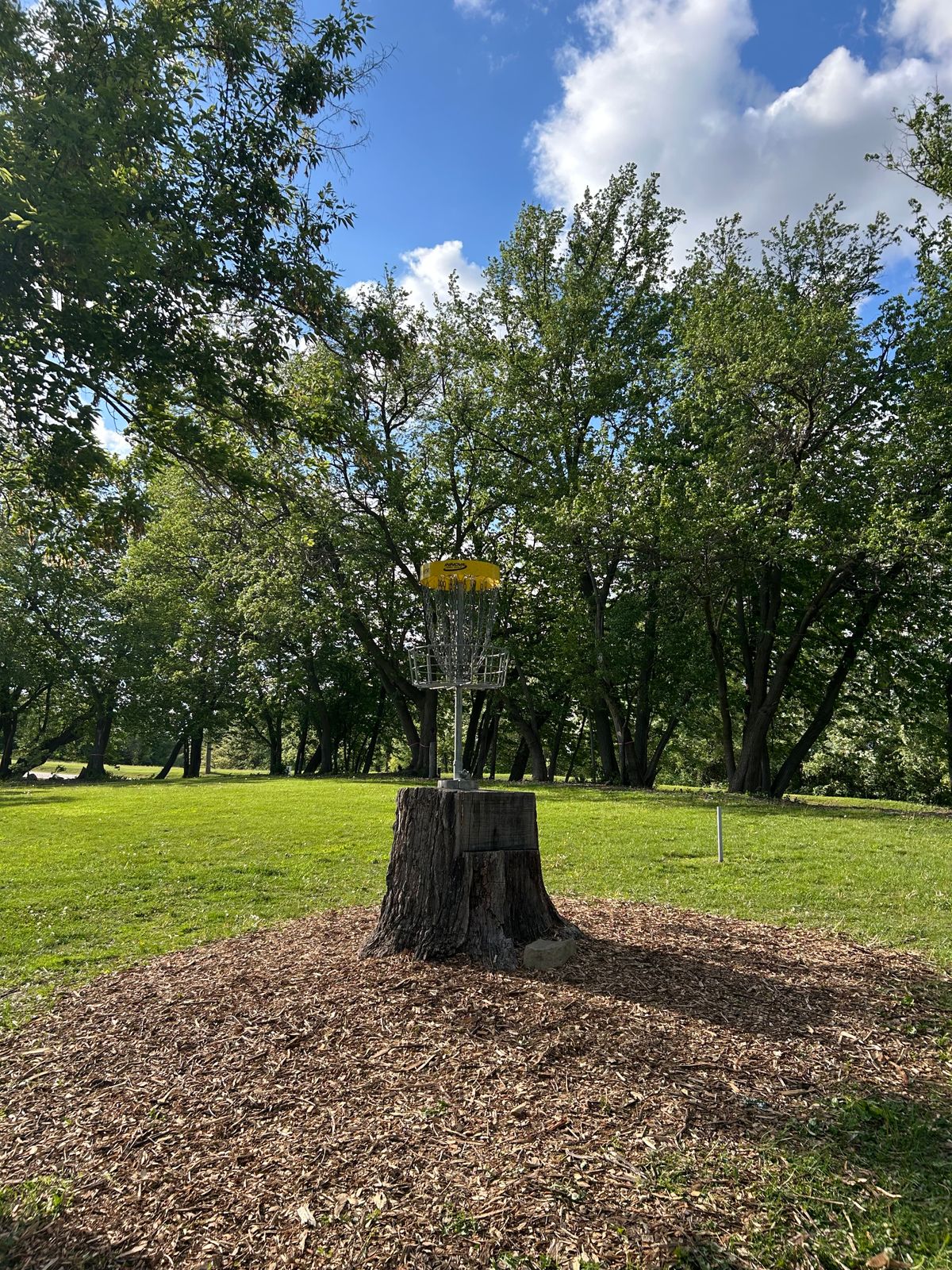 Hole 2 Basket