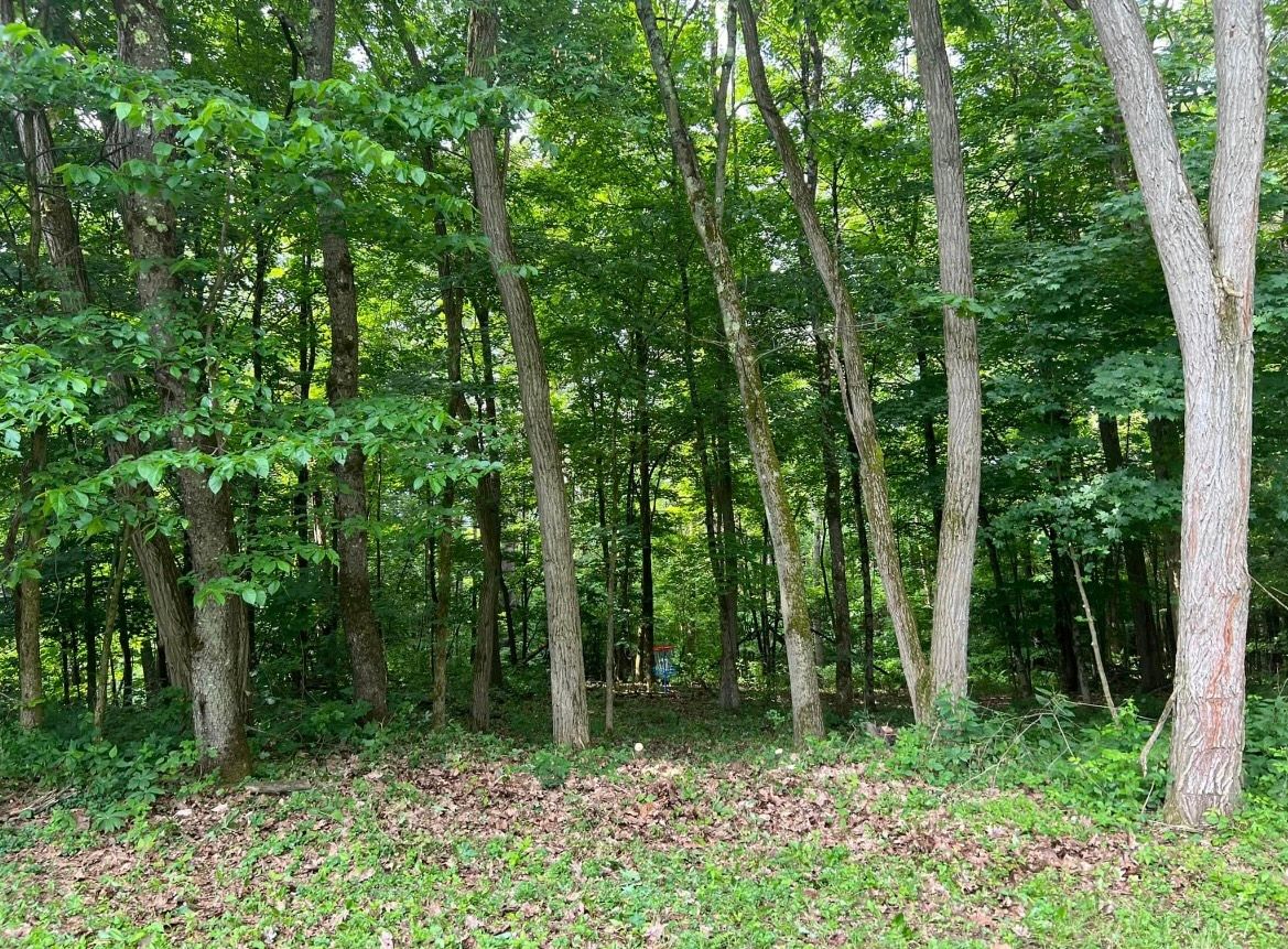 Hole 1 Basket