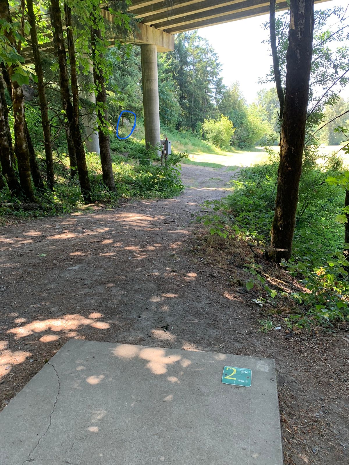 Hole 2. Blackberries near the basket.