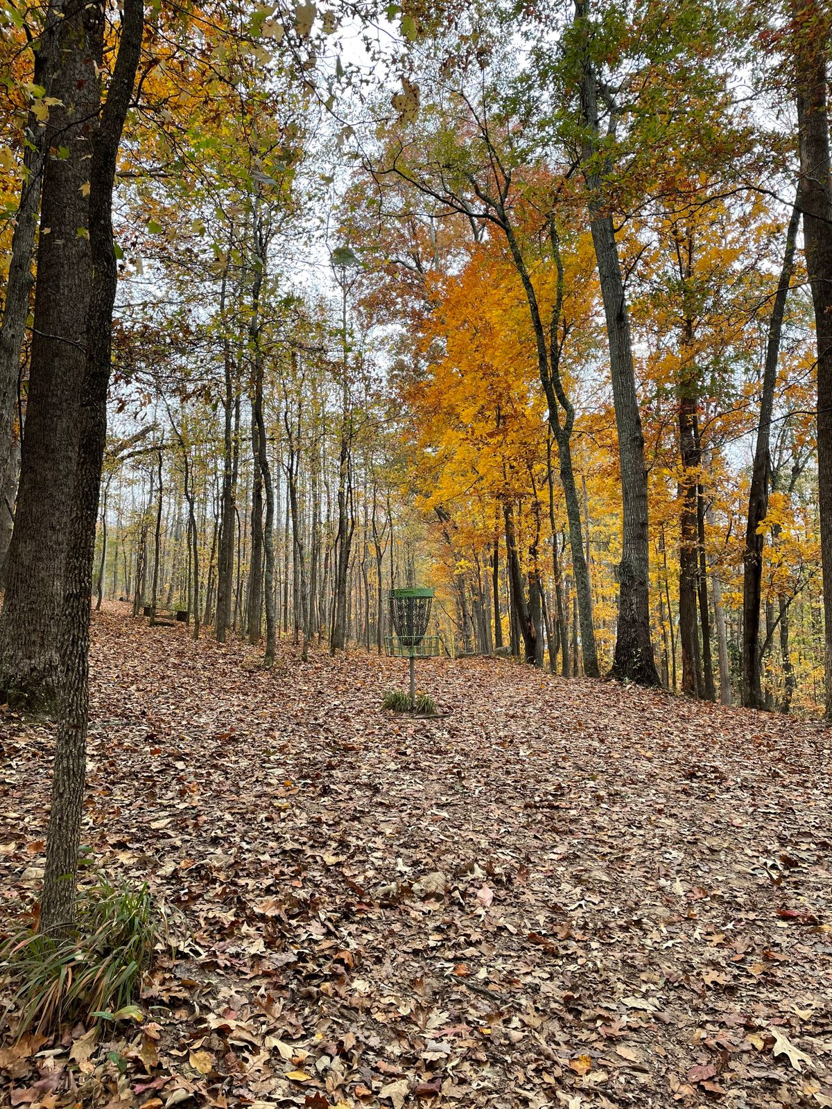 Hole 8