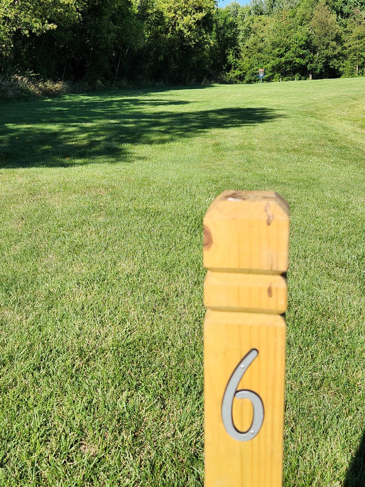 Hole 6 Basket view from the tee