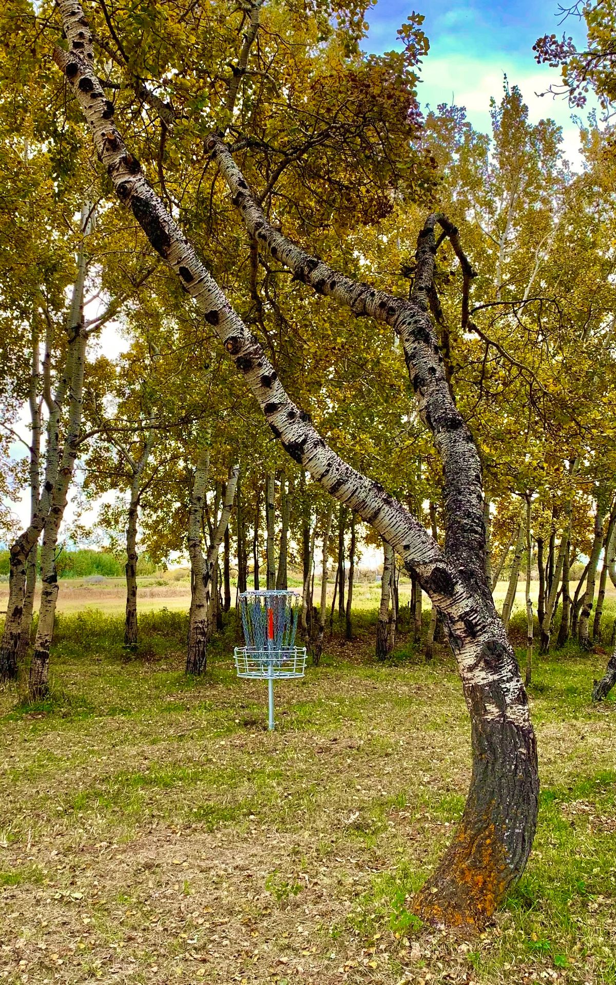 Hole 4, fall is setting in