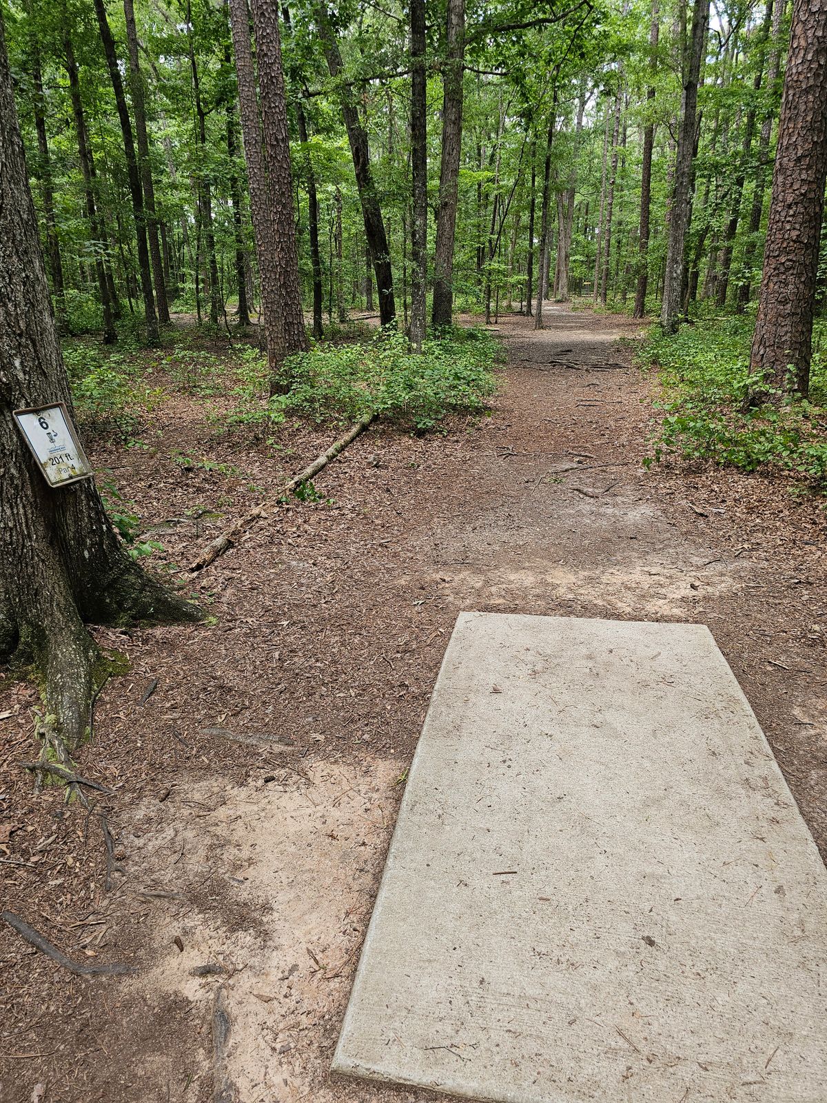 Hole 6