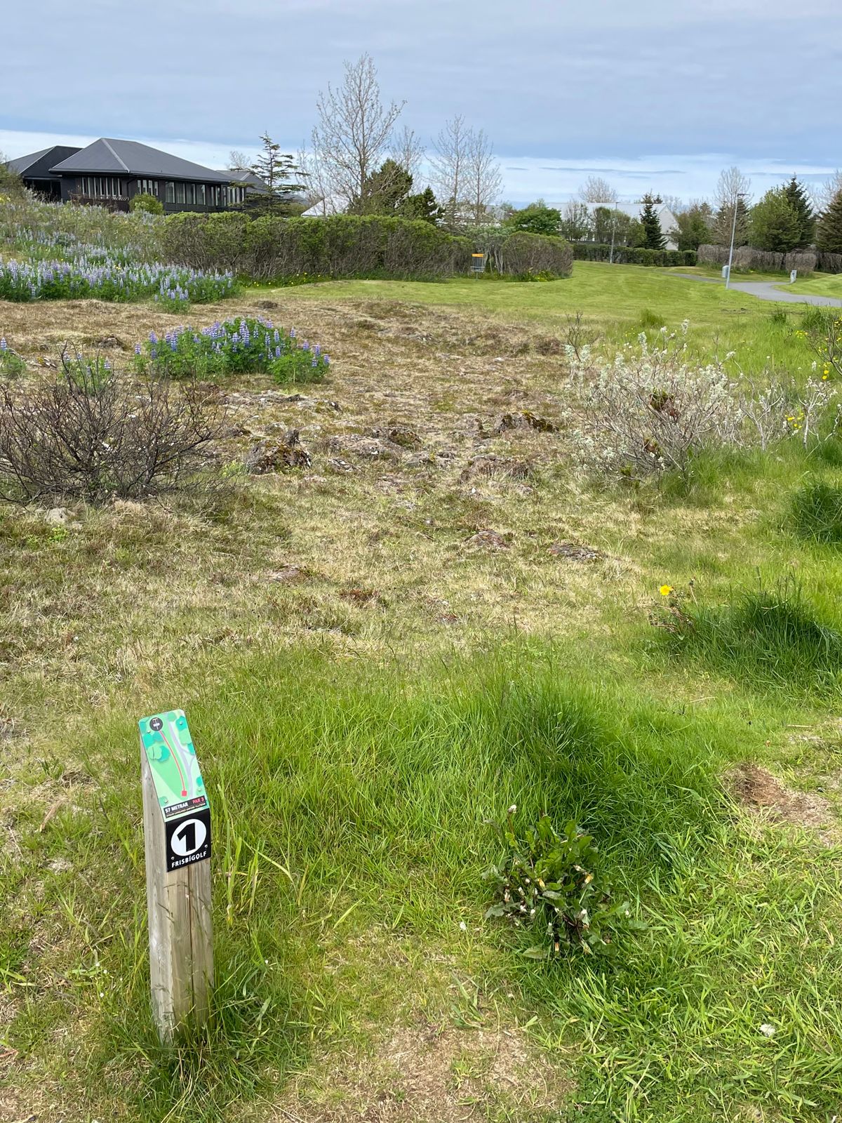 Hole 1
