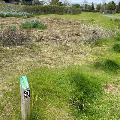 Hole 1
