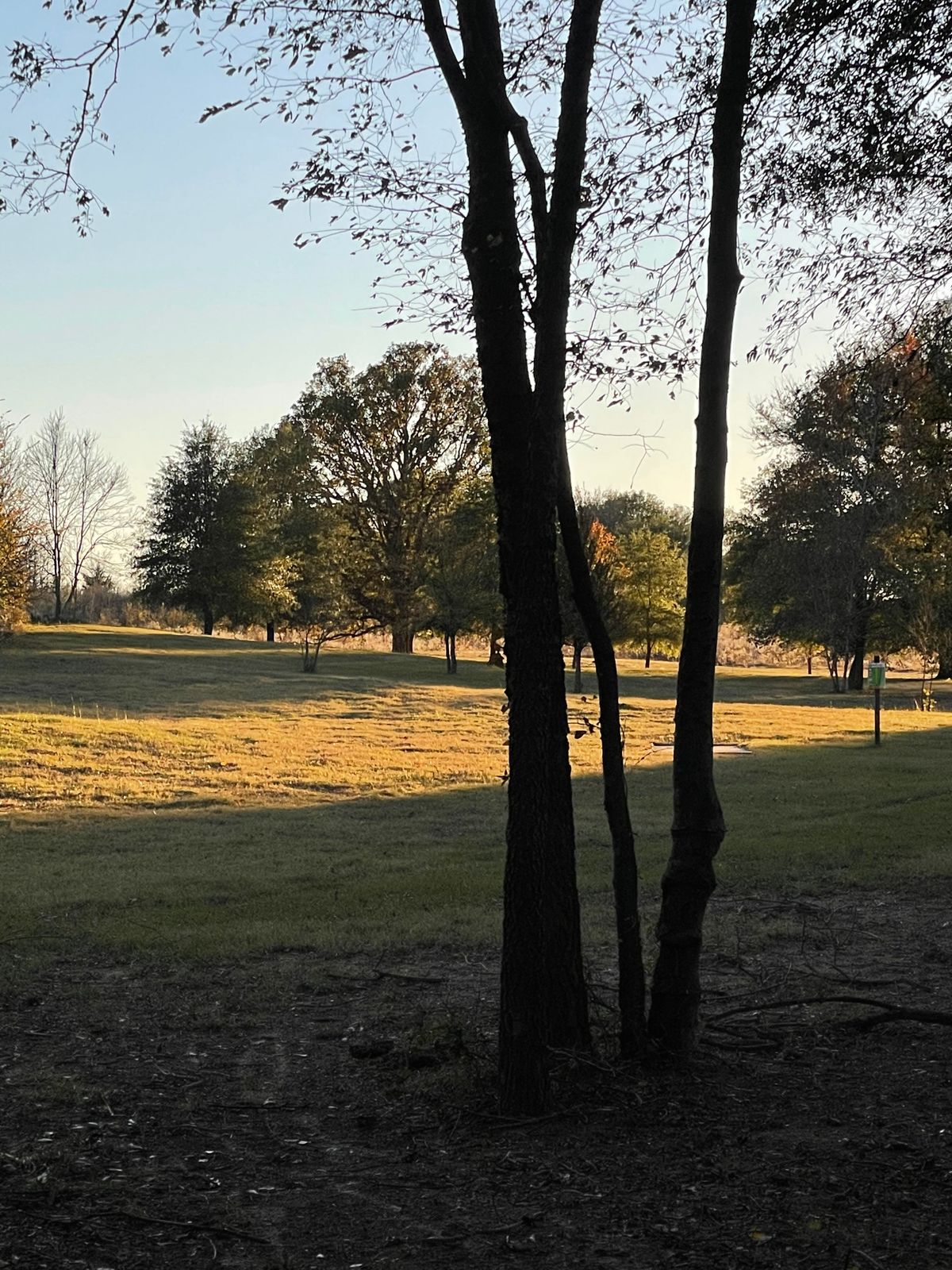 16 fairway.