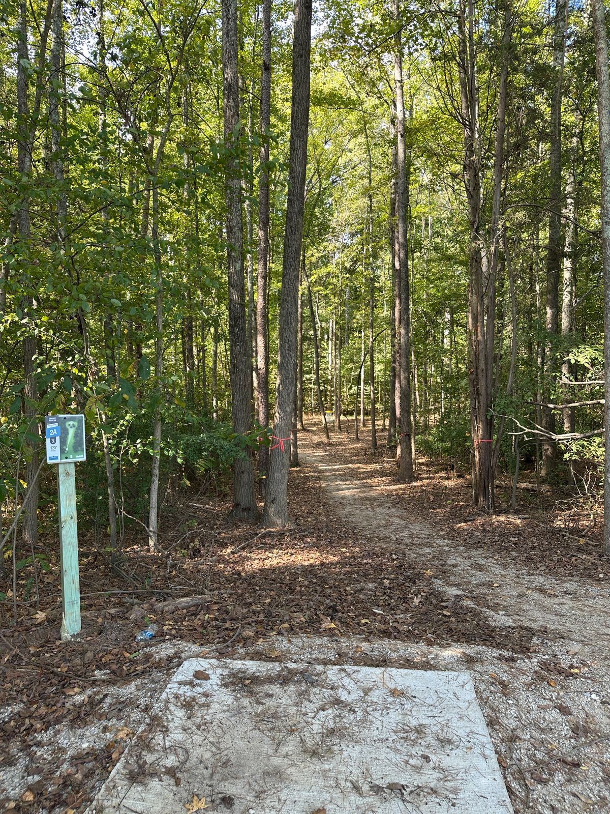 Hole 2 short tee.