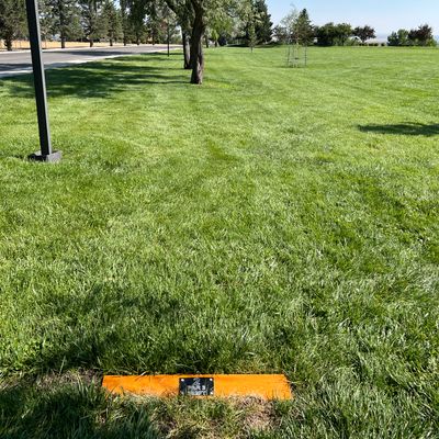 Hole 2 tee
