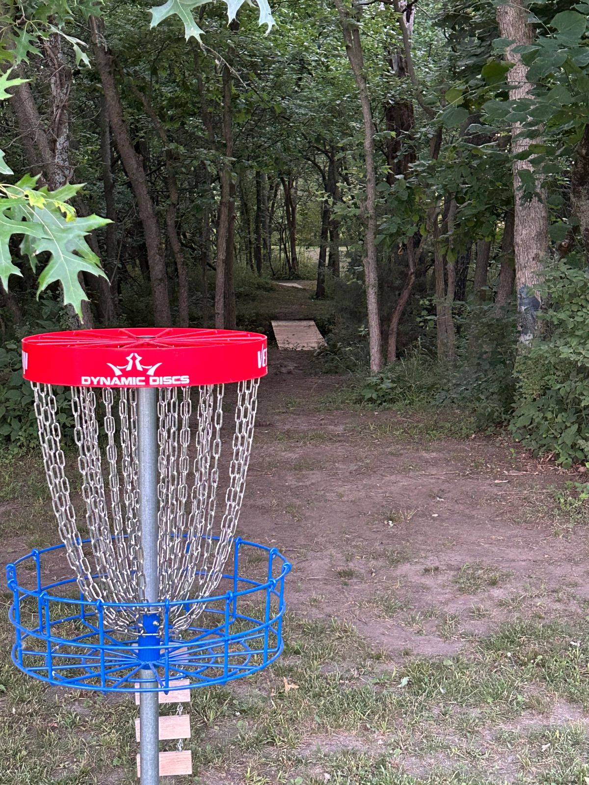 Hole #10 basket look back through to tee pad