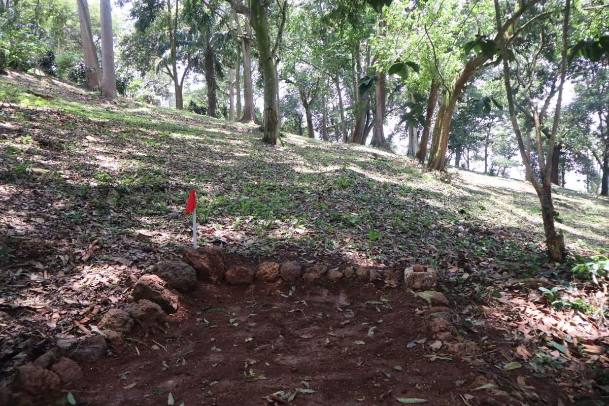 Hole 6 short tee