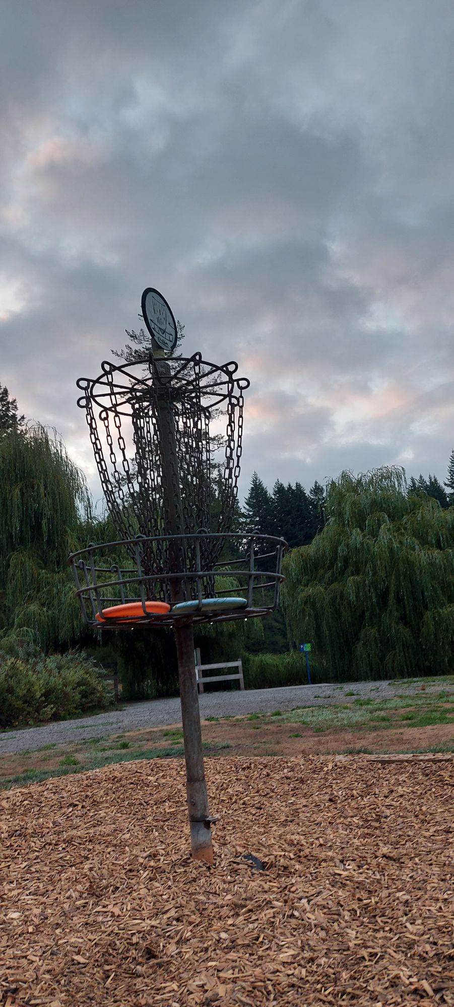 Putting on hole 8.🌲🌲🌲🌲