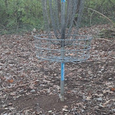 Trash baskets. Chains hardly make it. These are 100% the worst "Titan 24" labeled baskets.