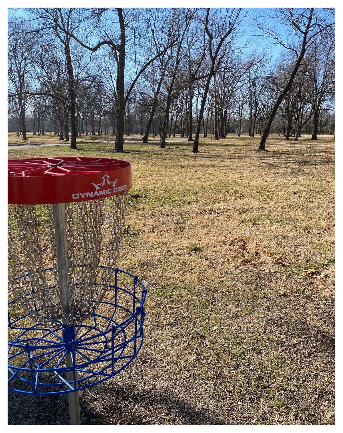 #13 green