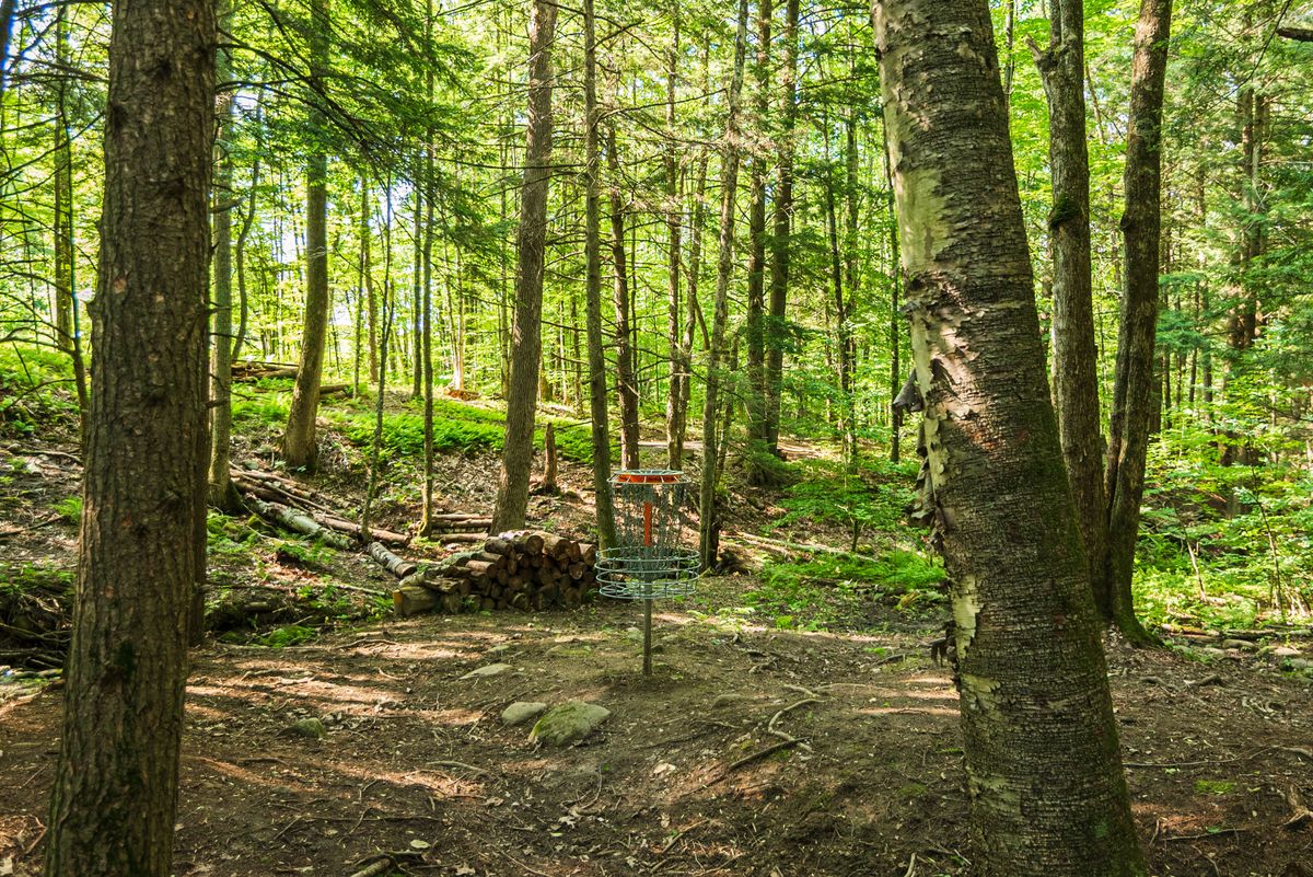 Hole 9 basket