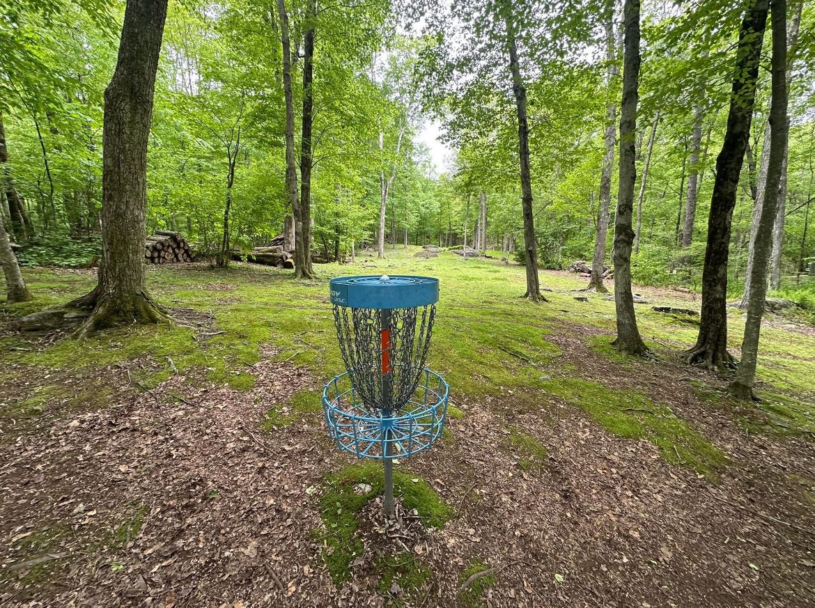 Hole #10, looking back up the fairway