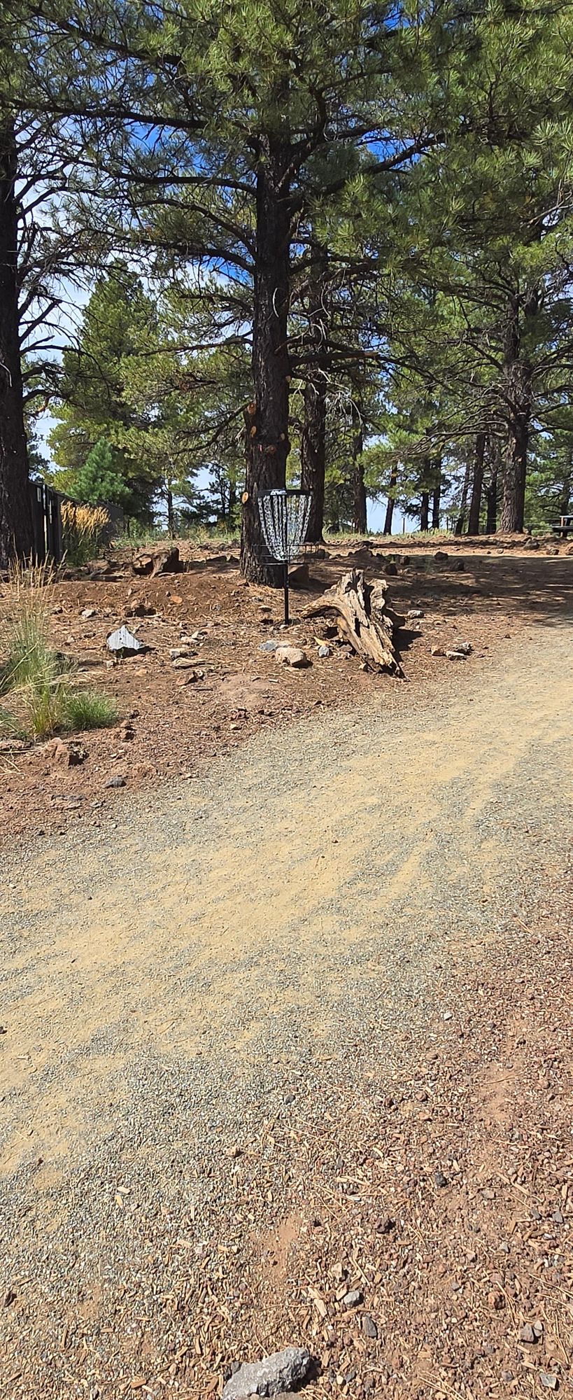 Hole 9