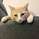 User avatar image