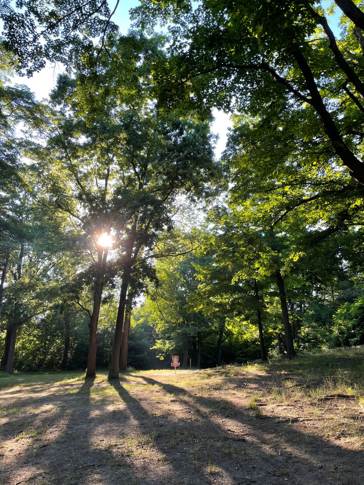Hole 5 basket
