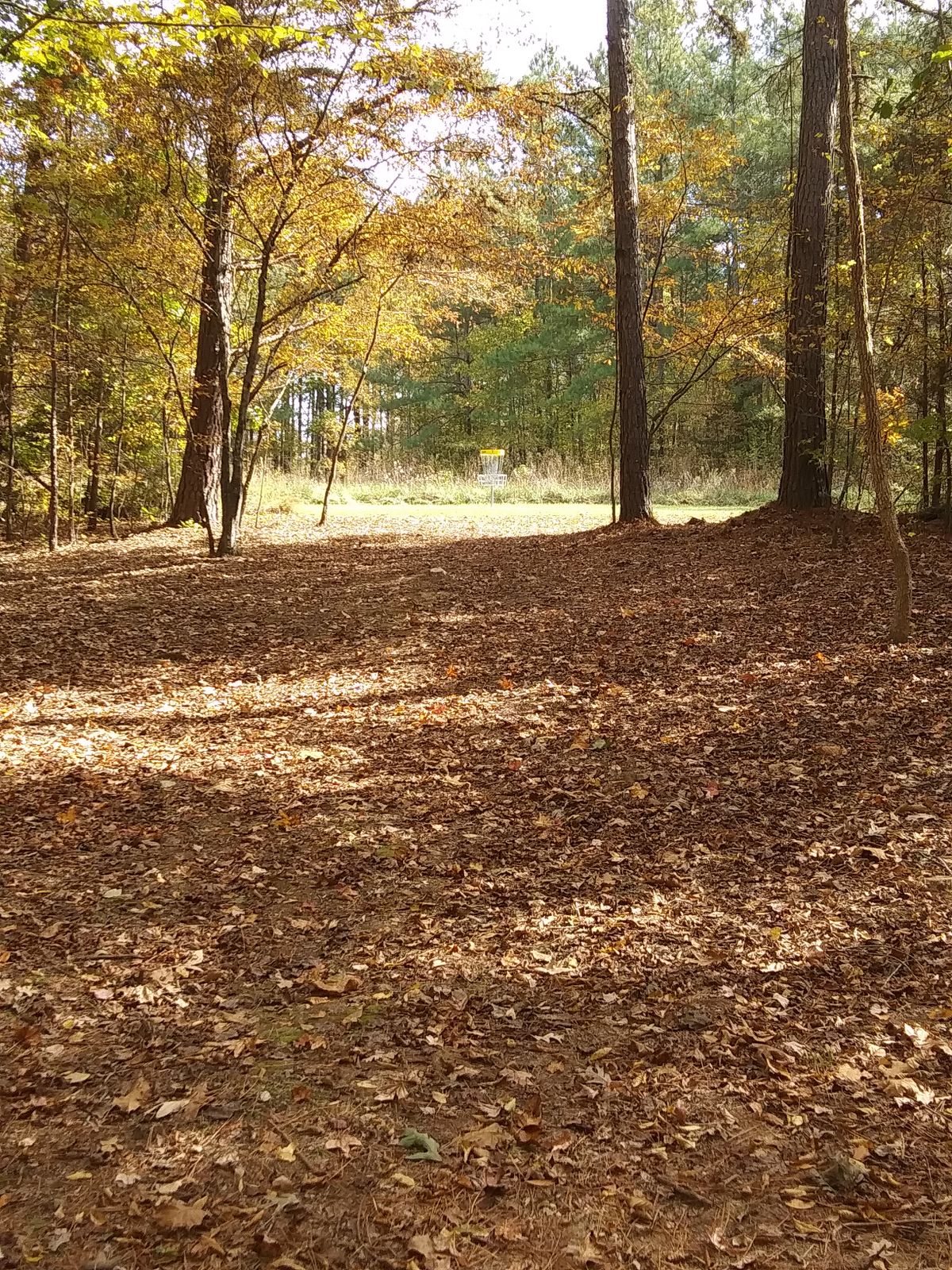 Hole 7 basket