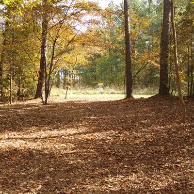 Hole 7 basket