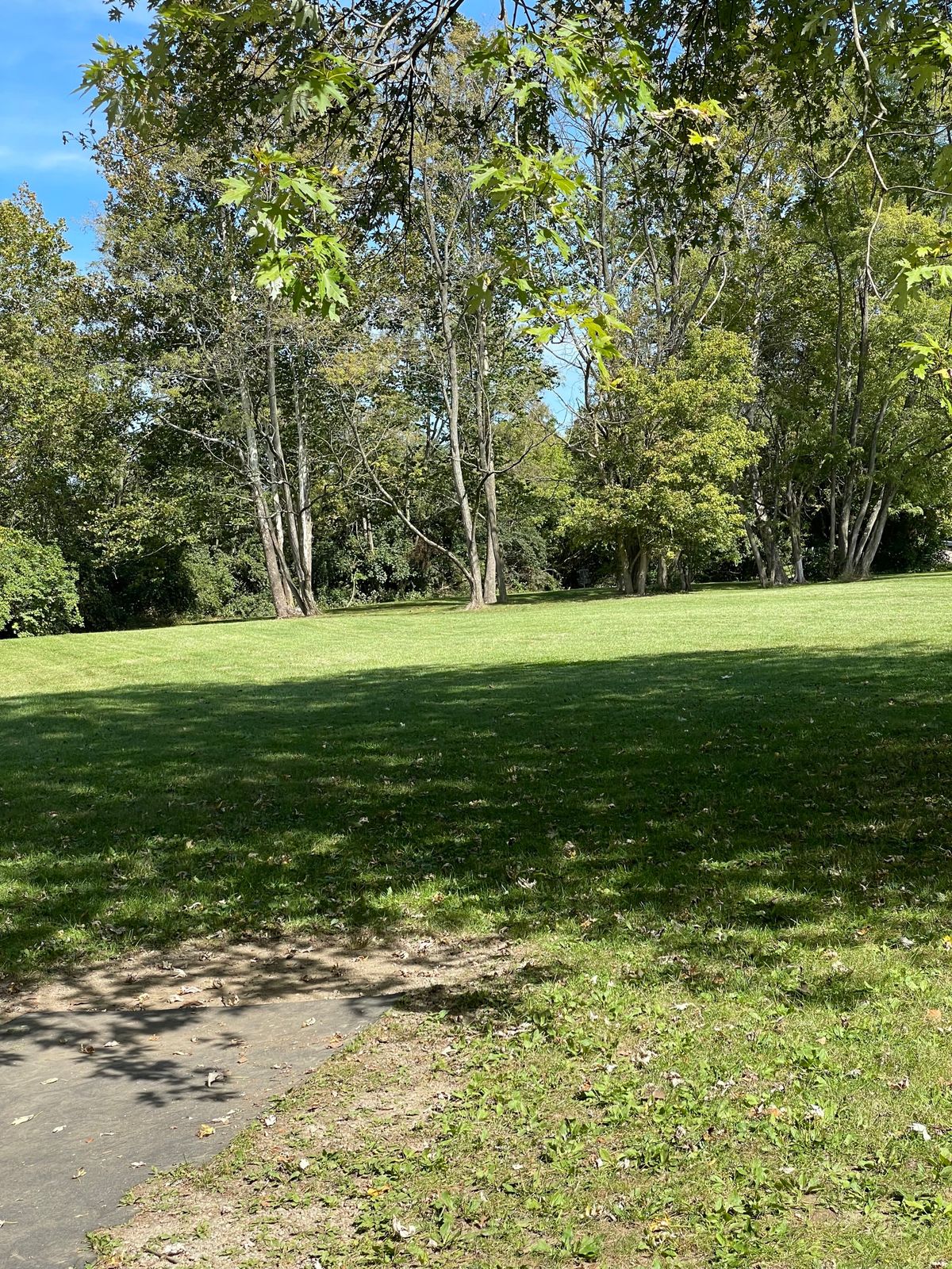 Hole 8