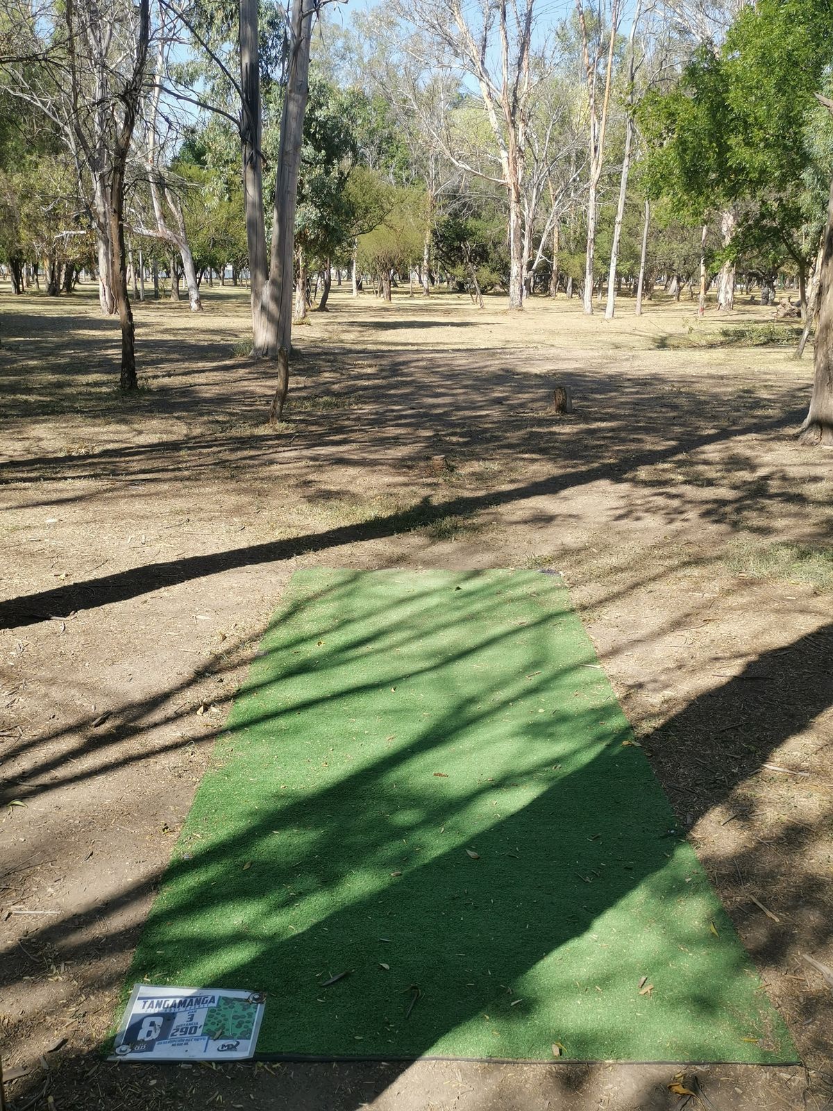 Tee H6