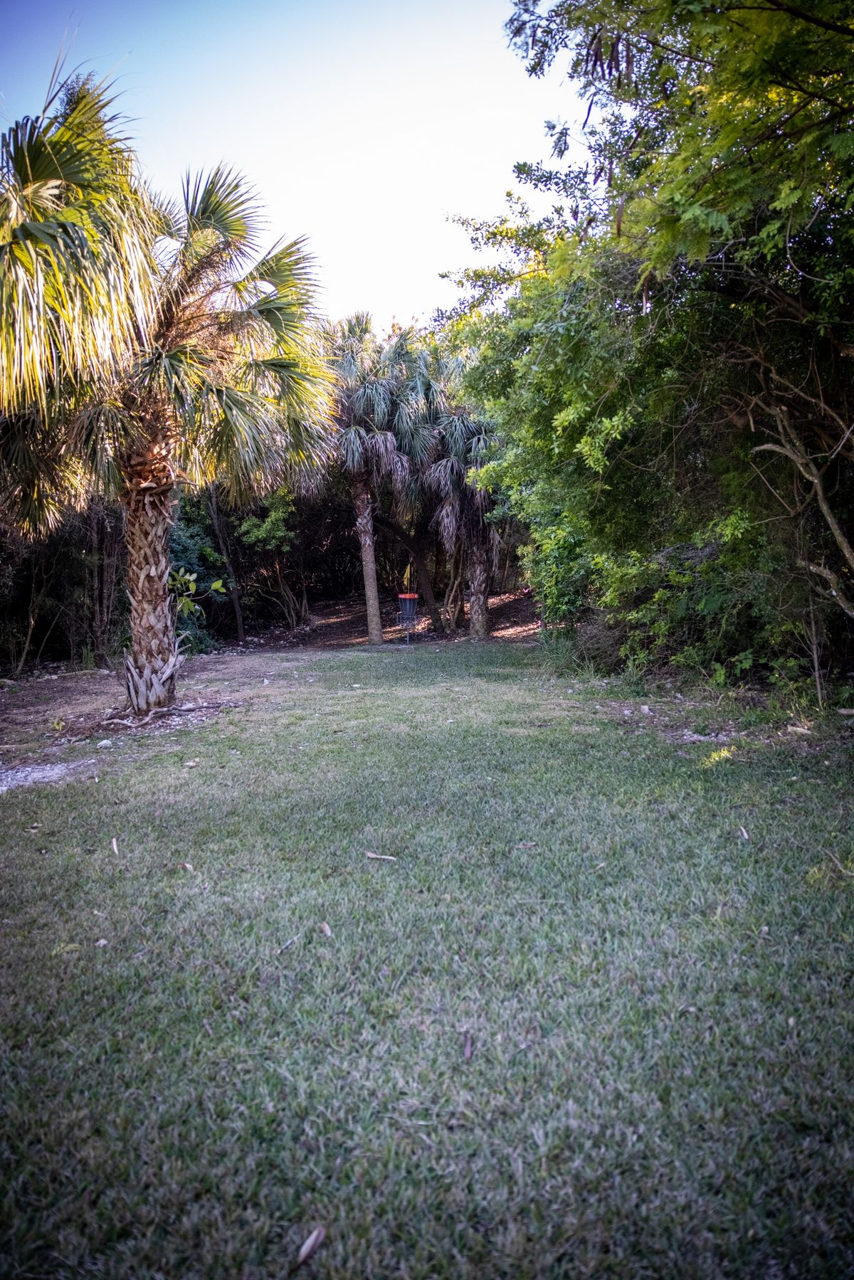 Hole 6 fairway.
