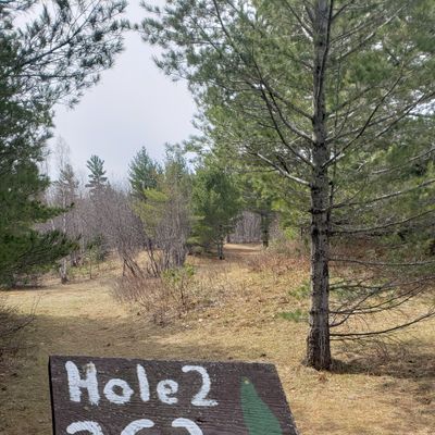 Hole 2
